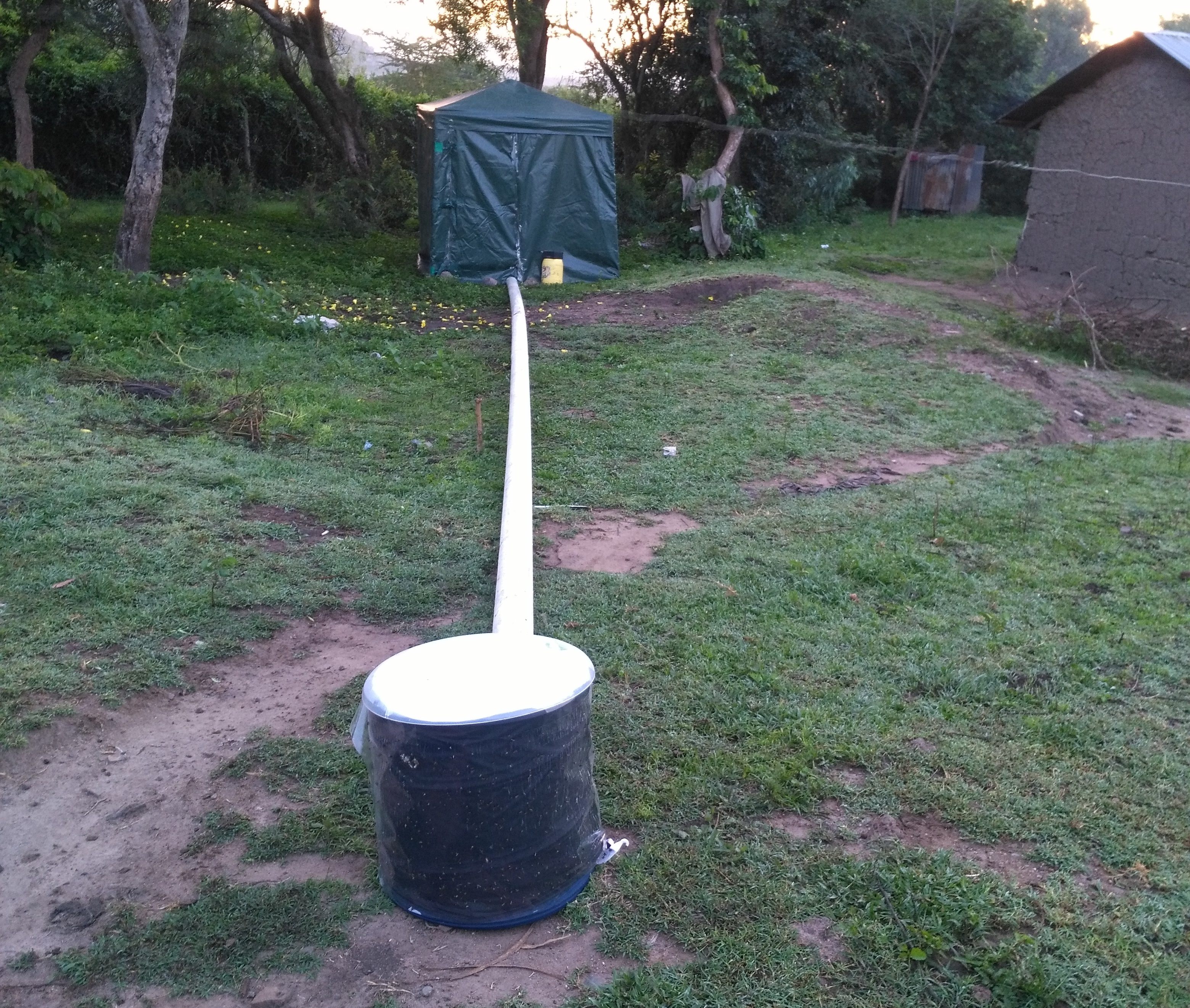 The cow is in the tent and the mosquitos are in the trap.