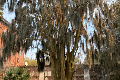 Colonial Park Cemetery 