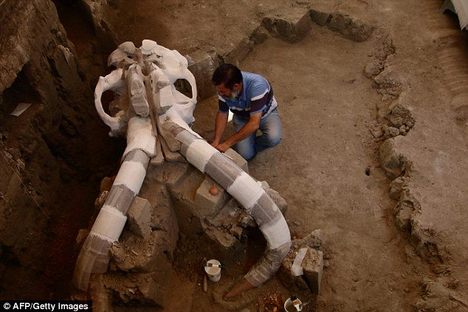 Some 14,000-Year-Old Mammoth Bones Were Found Near Mexico City