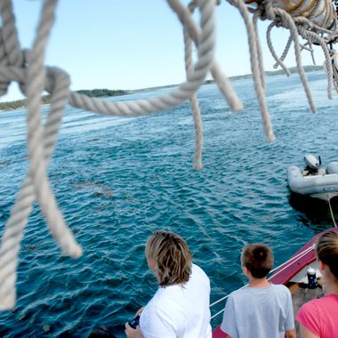 Boaters looking for Old Sow