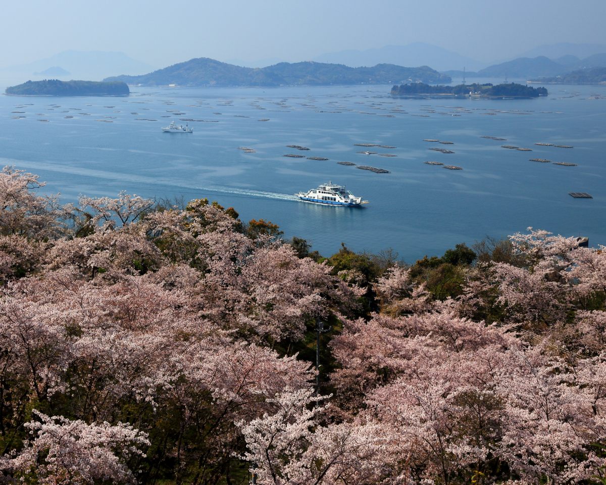 Flowers bloom along the Seto Inland Sea, an omnipresent force in daily life in Akitsu, Hiroshima.