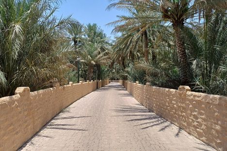 Pathways inside the oasis