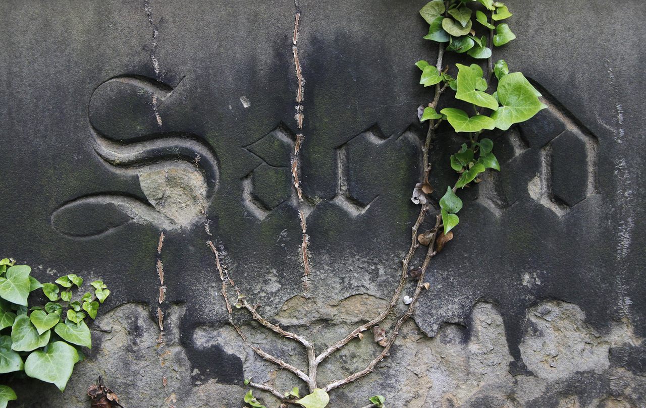 "Sacred," carved in gothic script on a Victorian gravestone with ivy.