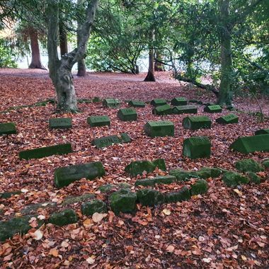 The pet cemetery 