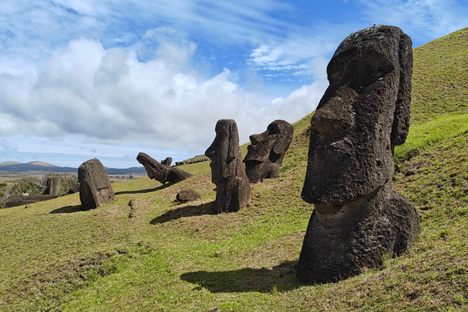Moai 263
