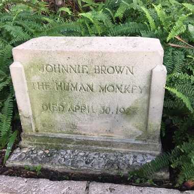 The Human Monkey's Headstone.
