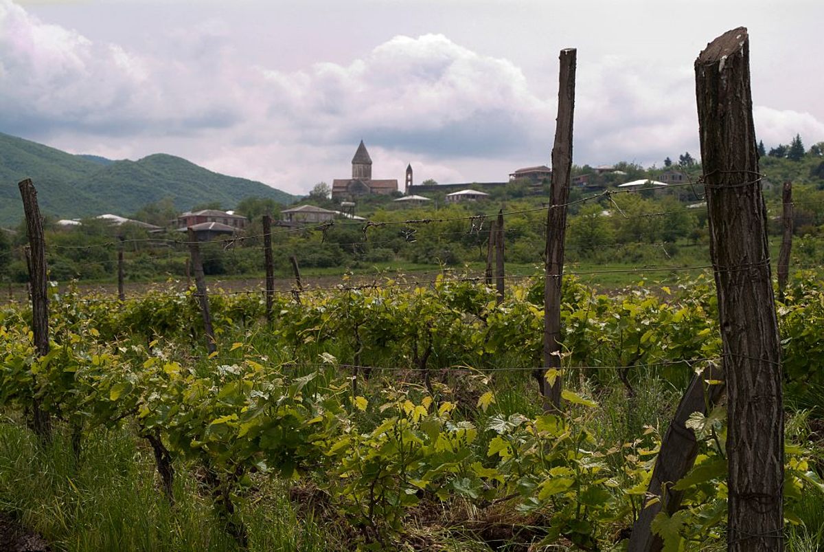 Stalin's native Georgia has the world's oldest winemaking culture.