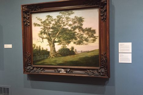 Charter Oak Frame