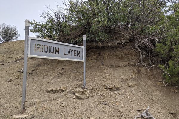 The sign for the iridium layer, located next to the exposed rock.