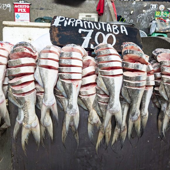 Order fresh fish by weight.