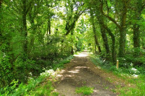 A secondary pathway