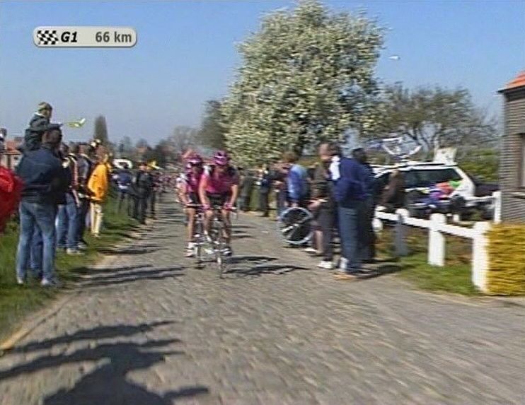 That same pear tree filmed in 2002, looking a bit more awake.