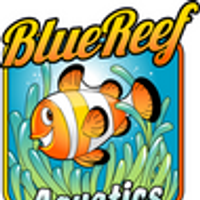 Profile image for Blue Reef Aquatics 4