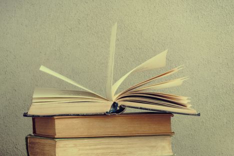 Why Fake Diaries Can be as Powerful as the Real Thing