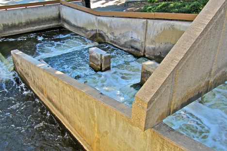 Fish Ladder Park 