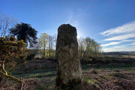Stane Alane Standing Stone