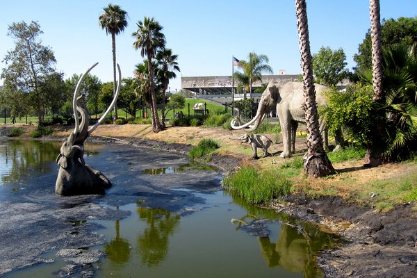 La Brea Tar Pits