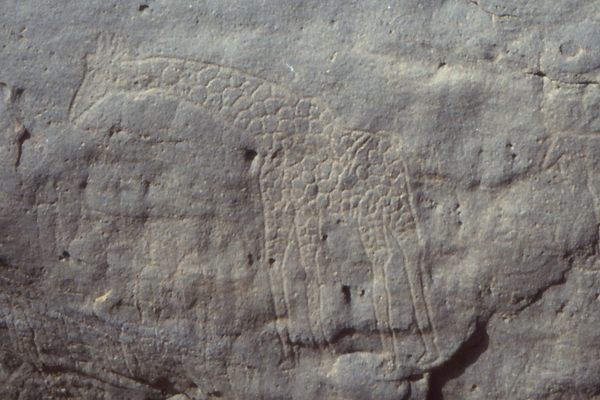 Smaller giraffe and other animal petroglyphs at Dabous.