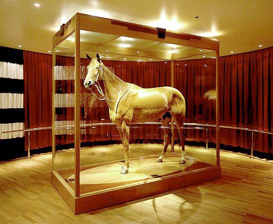 Taxidermy of Phar Lap