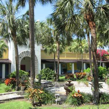 The Bonnet House Museum and Gardens