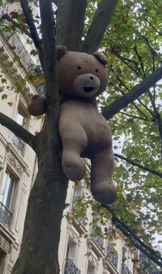 The Bears of Gobelins – Paris, France - Atlas Obscura