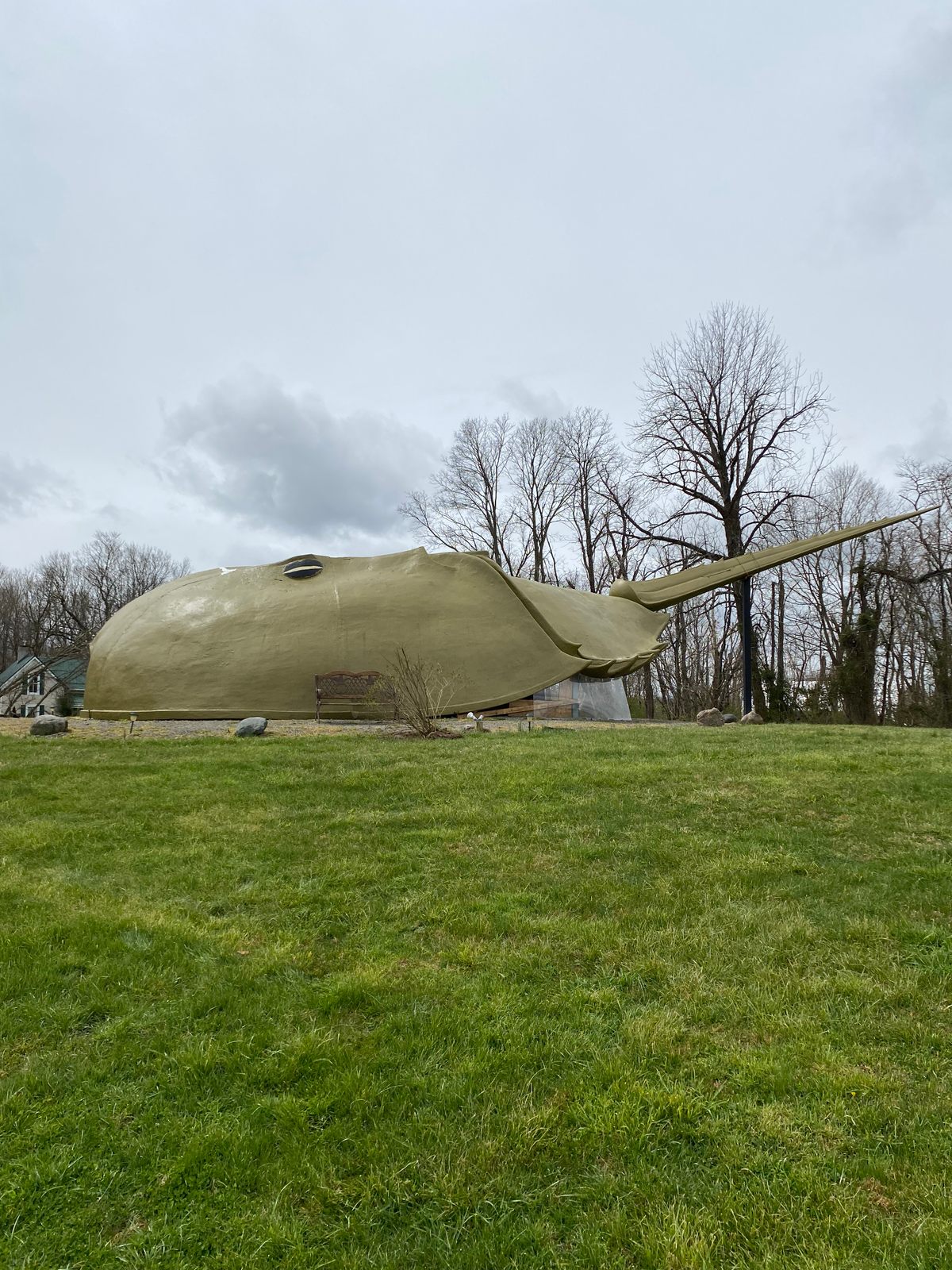 World's Largest Horseshoe Crab Hillsboro, Ohio Atlas Obscura