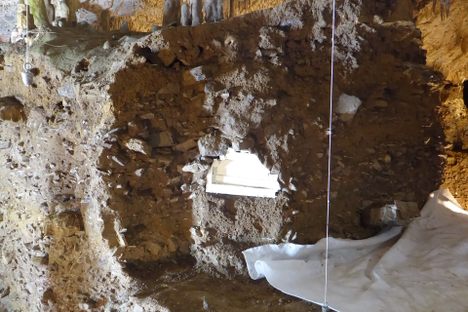 Stalagmites in place on fill and badger hole.