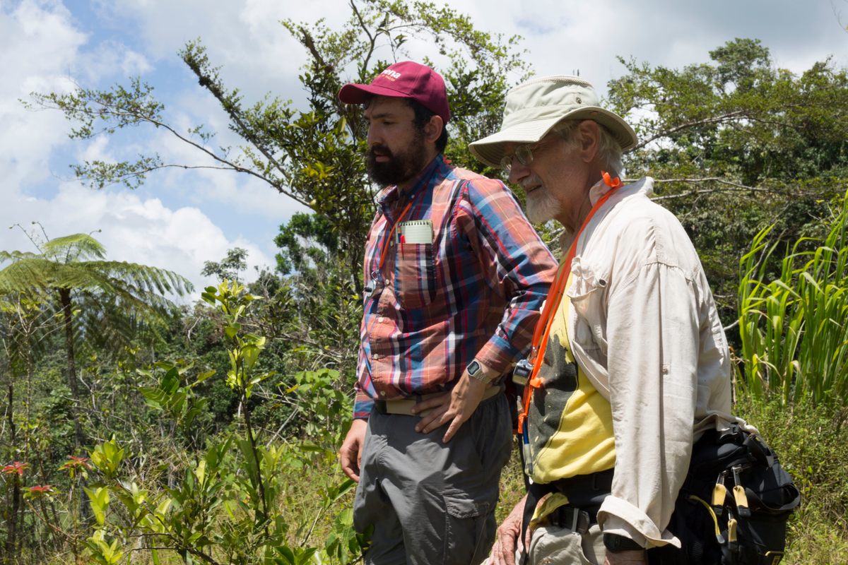 Zachary Hajian-Forooshani at work, surveying the coffee farms of central Puerto Rico.