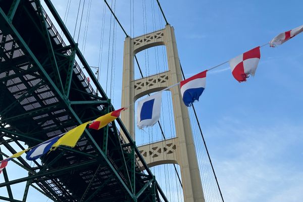 The bridge from underneath.