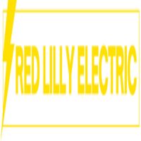 Profile image for redlillyelectric