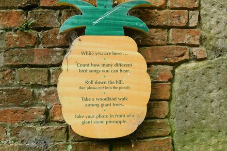 The Dunmore Pineapple House