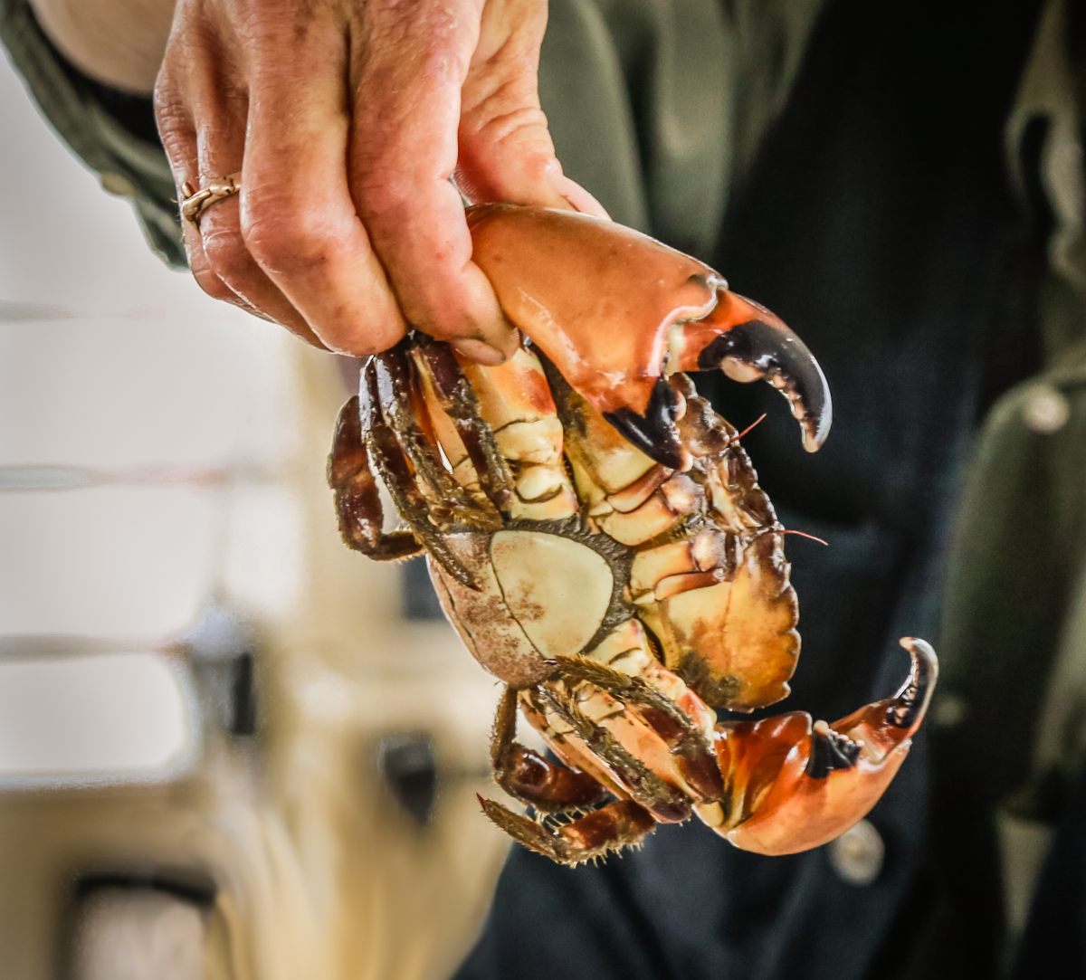 Joe's Stone Crab - Stone Crab Claw Key Chain