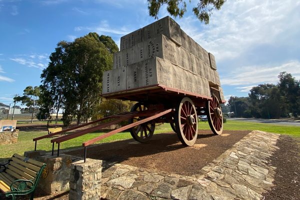 Giant Wool Wagon