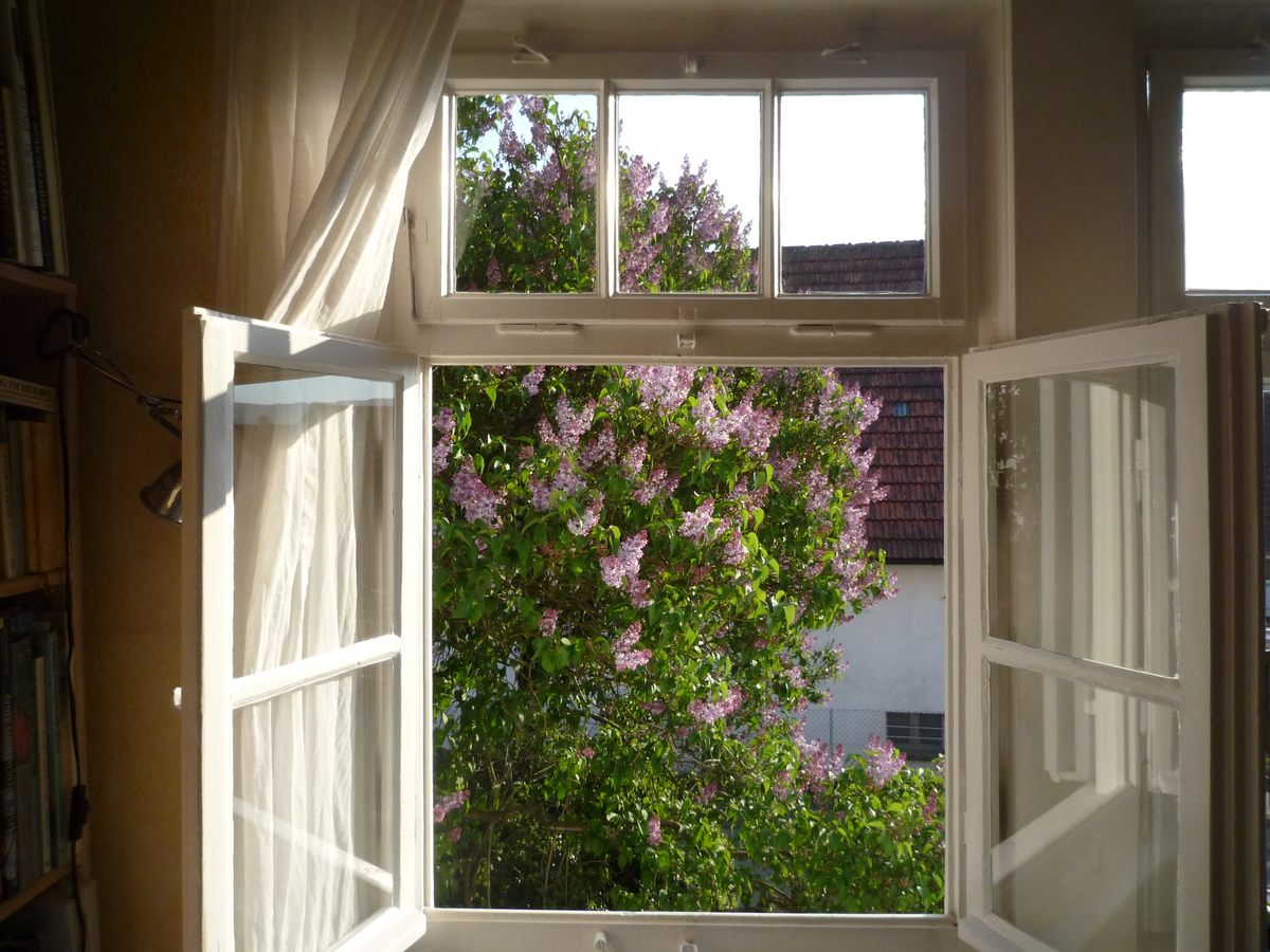 If you have a computer or a window to the outside, there's plenty you can do to help scientists out.