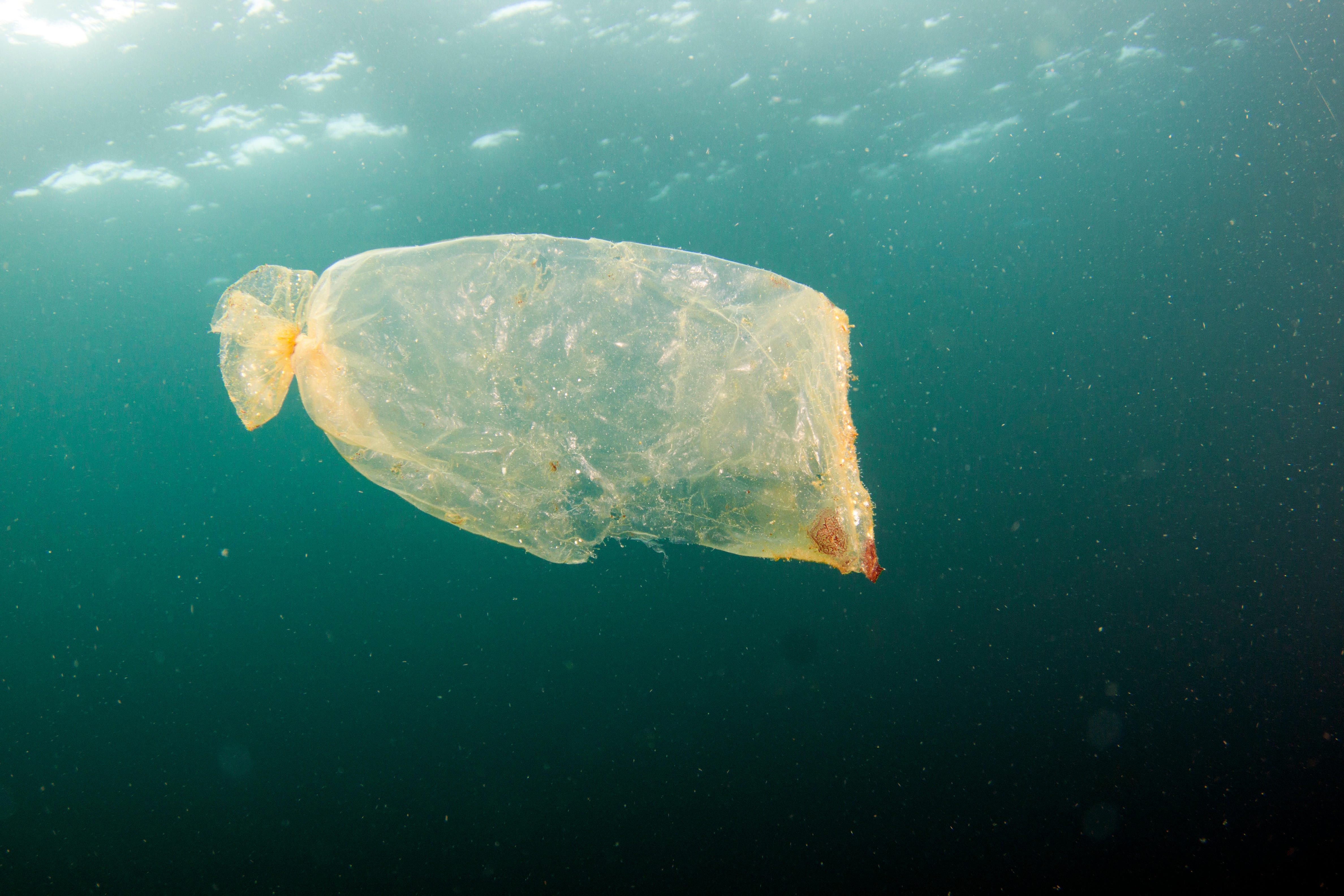 Plastic debris floating off Kona, Hawaii, could one day make its way to the farthest reaches of the ocean. 