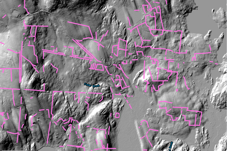 Stoddard, New Hampshire, under LiDAR after walls were drawn.
