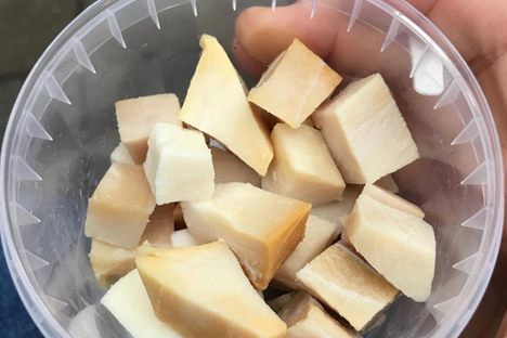 The fermented meat of a Greenland shark.