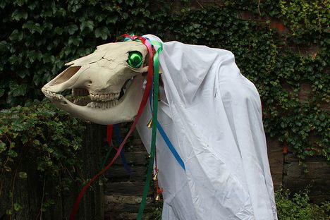 Say hello to the Mari Lwyd.