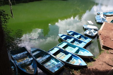 Boats on a lake, available for rental.