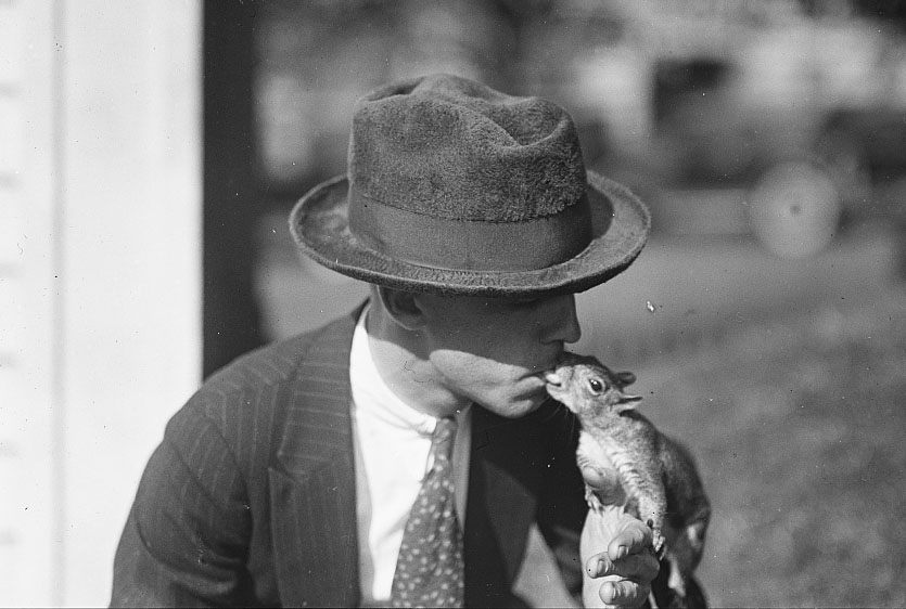 Pete the squirrel, who was a pet of President Harding. 