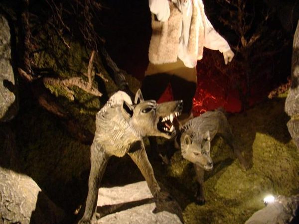 Museum of the Beast of Gevaudan Saugues France Atlas Obscura