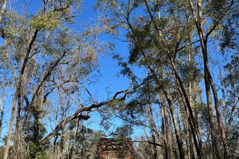 Suwanee Springs Bridge (The Bridge to Nowhere)