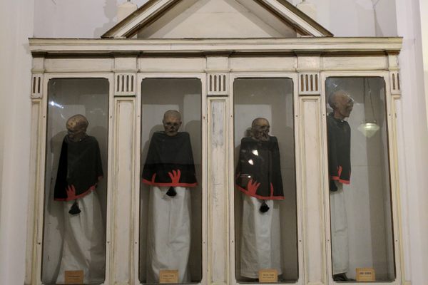 The mummies of eminent personalities from the 18th and 19th century. 