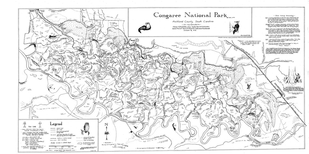 Cely's map offers an intricate depiction of the park's many facets: archaeological remnants, hurricane blowdowns, abandoned hunting lodges, and more.