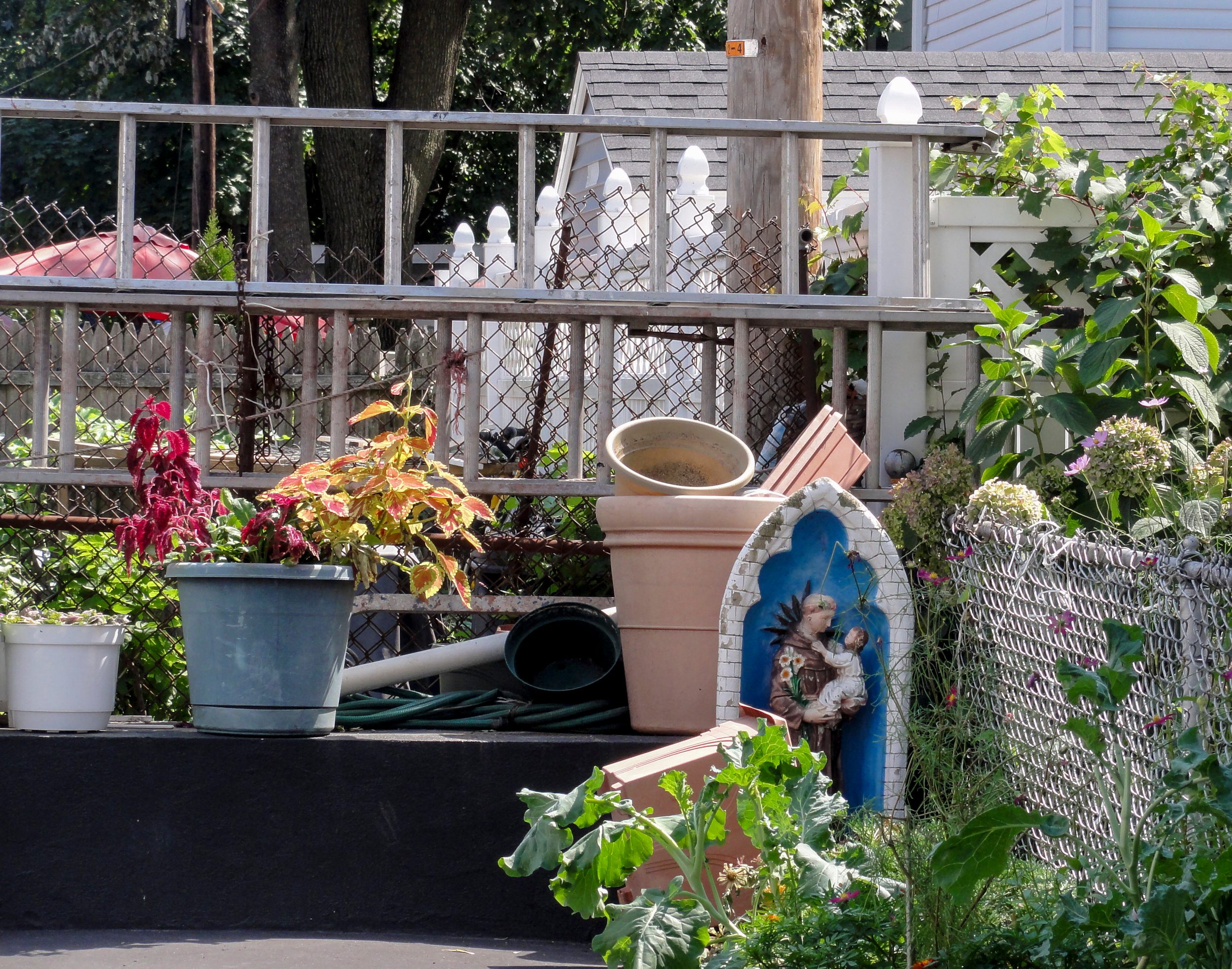 St. Anthony of Padua blends into a backyard garden.*