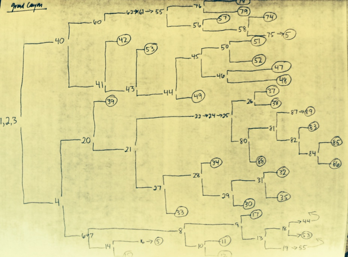 Leibold's hand-drawn map for the Choose Your Own Adventure story <em>Grand Canyon Odyssey</em>.