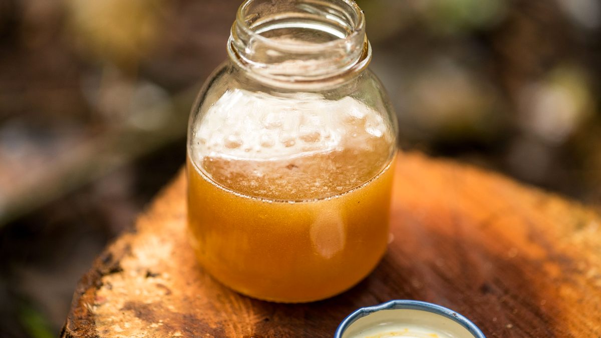 A jar of freshly harvested <em>Meliponini</em> honey.