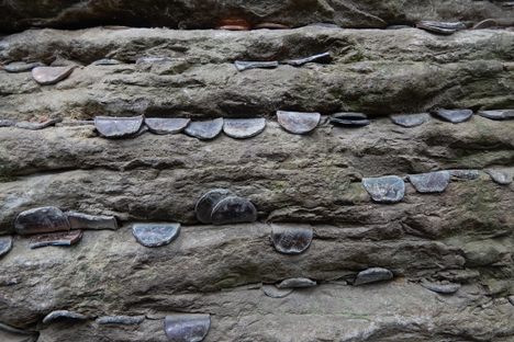 Penny Rock