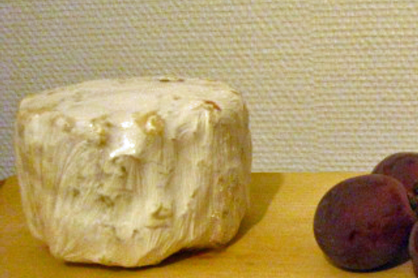 A mild moose milk cheese similar to Camembert.