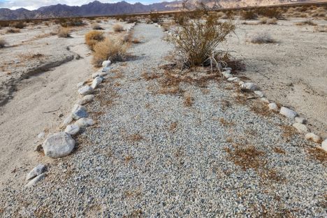 Path at Camp Coxcomb.